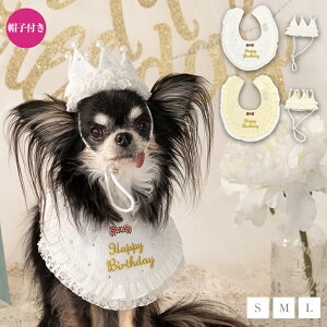 yʔ̌z[Xto[Xf[X^C S/M/L CRAZYBOO -NCW[u[- p a CB25SS