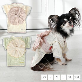 レース生地浴衣 XS/S/M/L/XL/XXL CRAZYBOO -クレイジーブー- 犬服 ドッグウェア CB26SS