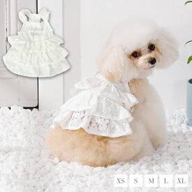 肩フリルレーシーワンピ XS/S/M/L/XL CRAZYBOO -クレイジーブー- 犬服 ドッグウェア CB26SS