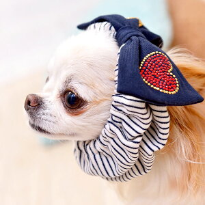 CRAZYBOO / NCW[u[CBXgCvXk[h / ̕ / hbOEFA