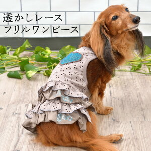 [Xts[X XS/S/M/L/XLTCY CRAZYBOO/NCW[u[ /̕/hbOEFA tăRNV