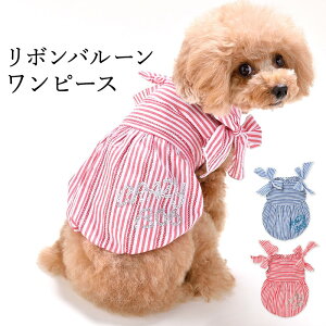 CRAZYBOO / NCW[u[{o[s[XXS / S / M / LTCY / ̕ / hbOEFAtăRNV