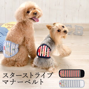 CRAZYBOO / NCW[u[X^[XgCv}i[xgS / M / L / XLTCY̕ /  / hbOEFA