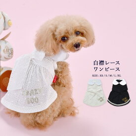 CRAZYBOO / クレイジーブー白襟 レース ワンピースXS / S / M / Lサイズオフホワイト / ネイビー小型犬 / チワワ / ヨーキー / シーズー / マルチーズ / プードル犬服 / 犬の服 / ドッグウェア春夏コレクション