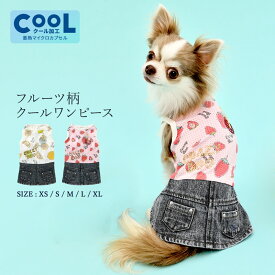 楽天市場 ダックスフンド 服 ワンピース ドッグウェア 犬用品 ペット ペットグッズの通販