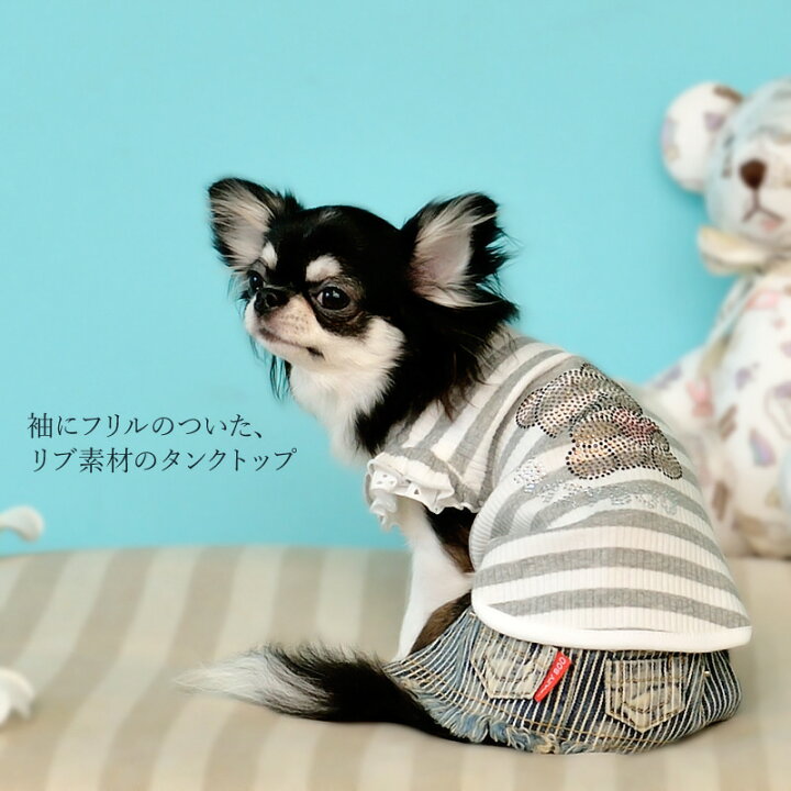 楽天市場】CRAZYBOO / クレイジーブーベア袖フリルタンクトップXL/ XXL 