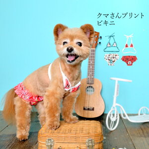 犬用ペット服 クレイジーブーの人気商品 通販 価格比較 価格 Com