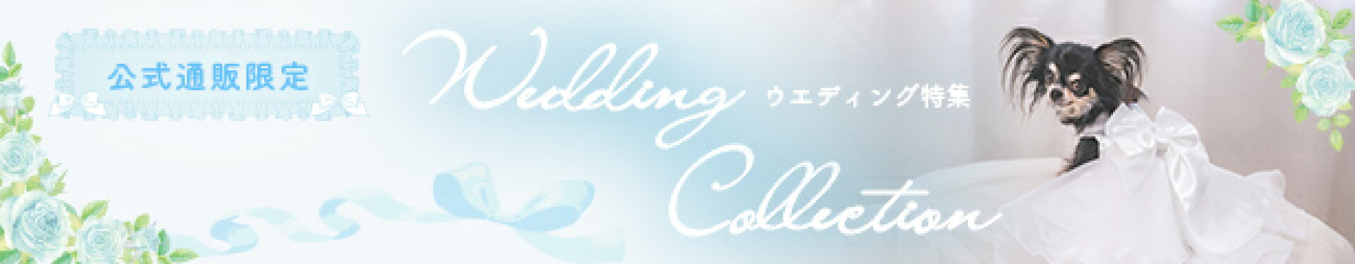 ウェディング特集