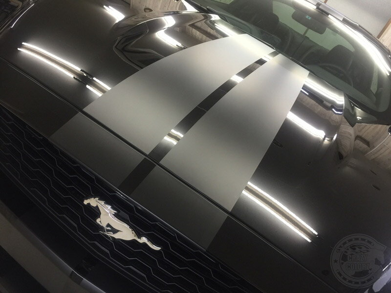 楽天市場】フォード マスタング 2015y-Dual1 レーシングストライプ