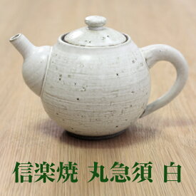 信楽焼 茶道具 / 丸急須 白 国産 日本製 送料無料
