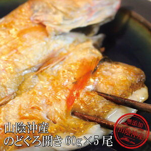  ̂ǂJZbg 60g 5 Zbg v[g Mtg 蕨 mhO  CN O    CNO ܂  v[g Hi Hו j 