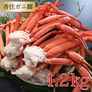 Jj gYCKj ZKj r 1.2kg (63t) ɌZY xjYCKj  Yn Y ZY MtgJj{C v[g Mtg i j  j Ԃ 蕨 