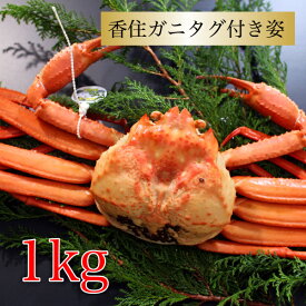 カニ 紅ズワイガニ タグ付き 香住ガニ 約1kg×1杯 兵庫県香住産 紅ずわいがに ベニズワイガニ 姿 送料無料 産地直送 国産 海鮮グルメ プレゼント 絶品 お祝い お礼 内祝い お返し 贈り物 お取り寄せグルメ 人気 食べ物 希少 特大サイズ 厳選 姿 カニ 通販 冬ギフト 食品
