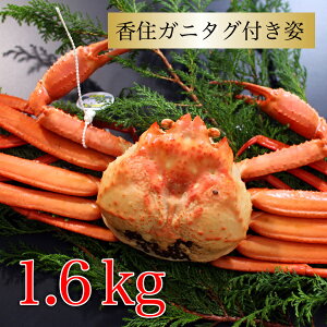 Jj gYCKj ^Ot ZKj 1.6kg 800g×2t ɌZY xjYCKj p  Yn Y ZY  TCY Jj{C CNO i I p 