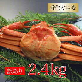 カニ 訳あり 紅ズワイガニ 訳あり 香住ガニ 約2.4kg(約800g×3杯) 兵庫県香住産 ベニズワイガニ 姿 送料無料 産地直送 国産 香住産 海鮮グルメ プレゼント 絶品 お祝い 贈り物 厳選 お取り寄せ 人気 お祝い 内祝い お返し お礼 贈り物 母の日ギフト