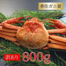 カニ 訳あり 紅ズワイガニ 訳あり 香住ガニ 約800g×1杯 兵庫県香住産 ベニズワイガニ 姿 送料無料 産地直送 国産 香住産 プレゼント ギフト 絶品 お祝い 贈り物 海鮮グルメ お取り寄せ 人気 食べ物 食品 お祝い お礼 内祝い お返し 贈り物 カニ 通販 冬ギフト 食品