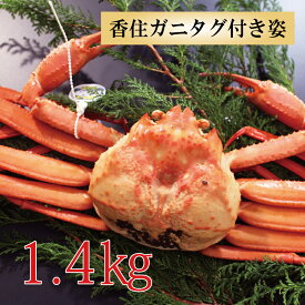 カニ 紅ズワイガニ タグ付き 香住ガニ 約1.4kg 約700g×2杯 兵庫県香住産 ベニズワイガニ 姿 送料無料 産地直送 国産 香住産 おいしい 特大サイズ カニボイル 海鮮グルメ ギフト 絶品 厳選 贈り物 お取り寄せ グルメ お祝い お礼 内祝い お返し カニ 通販 冬ギフト 食品