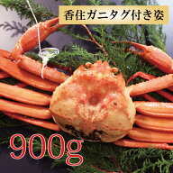 カニ 紅ズワイガニ タグ付き 香住ガニ 約900g×1杯 兵庫県香住産 紅ずわいがに ベニズワイガニ 姿 送料無…