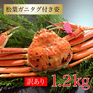 Jj 󂠂 tKj^Ot 1.2kg(600g×2t) ɌZY Y  {YCKj YCKj Jjp I  Jj O CN Mtg  v Yn i CNO