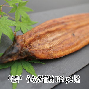 うなぎ ギフト 蒲焼き 国産 高知県産 特選うなぎ蒲焼 135g×2尾 鰻 蒲焼 土用丑の日 贈り物 プレゼント 食品 食べ物 プレゼント お取り寄せ うなぎ 蒲焼き 国産 内祝い お祝い お返し お礼 出産