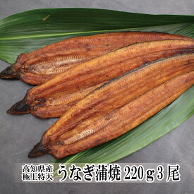 父の日 ギフト 国産 蒲焼き 国産 高知県産 極上特大うなぎ蒲焼220g×3尾 鰻 蒲焼 土用丑の日 贈り物 食品 プレゼント 食べ物 お取り寄せ 海鮮グルメ お中元 夏ギフト 内祝い お祝い お返し お礼 出産 結婚 新築 引越し