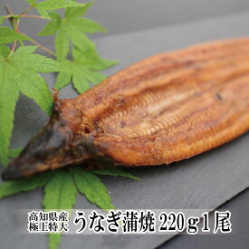 楽天市場 うなぎ 2gの通販 楽天市場 うなぎ 2gの通販
