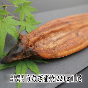 Ȃ Ă Y mY ɏ傤Ȃ220g×1 V  ypN̓ 蕨 v[ Hו CNO  j j Ԃ  oY  Vz z Mtg 