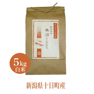 V  5kg ߘa7NY Ђ ʍ͔|  RVqJ    V v[g  Mtg _ƒ  Mtg Hו V 20g 1܃v[g    j