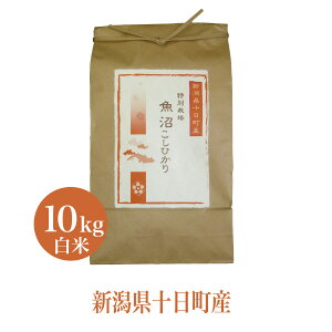 V  10kg ߘa7NY Ђ ʍ͔|  RVqJ     V v[g  Mtg _ƒ  V 20g 1 v[g   Mtg Hו 