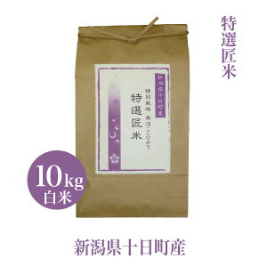 V  10Kg ߘa7NY Ђ ʍ͔|  RVqJ I    V v[g Mtg_ƒ  V 20g1܃v[g  Yn  