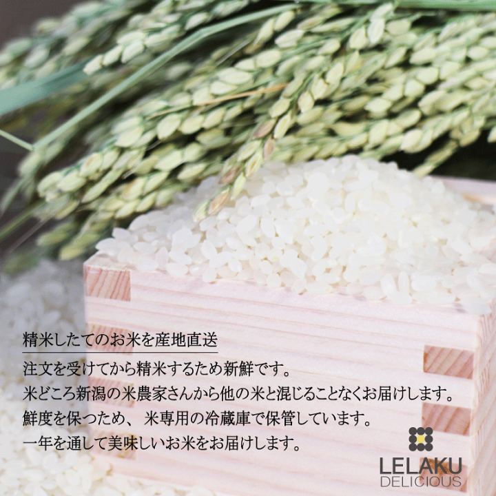 楽天市場】米 20kg こしひかり 令和6年産 特別栽培 魚沼