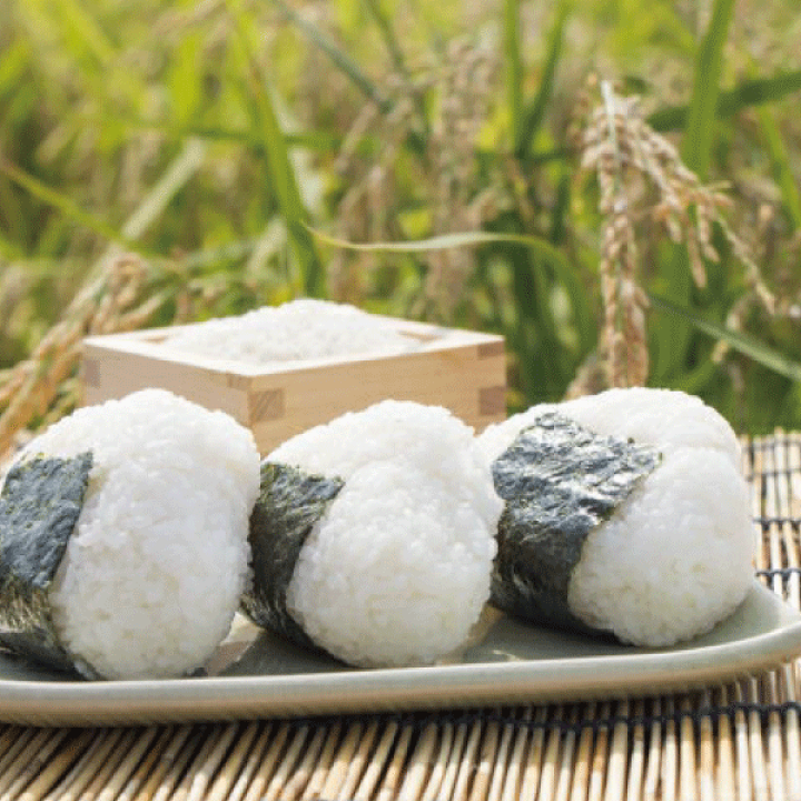 楽天市場】米 20kg こしひかり 令和6年産 特別栽培 魚沼