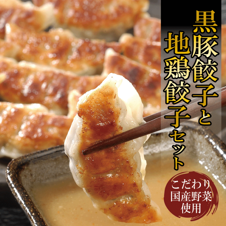 鶏餃子 イトー屋 芦屋 兵庫 芦屋伊東屋 謹製 黒豚餃子と地鶏餃子 食品 ギフト プレゼント 贈答 熨斗 のし 贈り物 記念日 お祝い 冠婚葬祭 内祝 御祝 無地 出産内祝 結婚内祝 代引不可 送料無料 リコメン堂の通販・お取り寄せなら