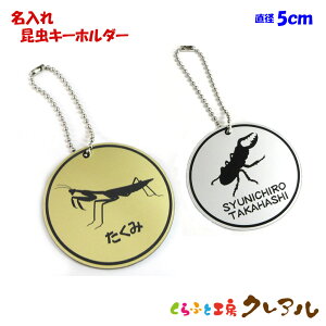 y[֏izL[z_[@@a5cm@AN@Vo[@S[h yO l[   w v[g Mtg  l[v[g 蕨@j obN N