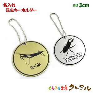 y[֏izL[z_[@@a3cm@AN@Vo[@S[h yO l[   w v[g Mtg  l[v[g 蕨@j obN N