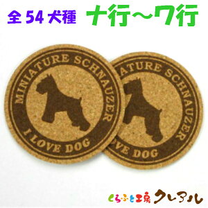 y[֔zRNR[X^[ 2Zbg iis`sjی^ a92mm yRNR[X^[ RN R[X^[  G IWi v[g j Ǐ vg Rbv~z