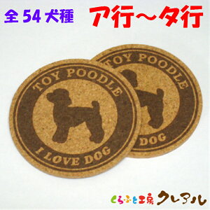 y[֔zRNR[X^[ 2Zbg iAs`^sj@ی^ a92mm yRNR[X^[ RN R[X^[  G IWi v[g j Ǐ vg Rbv~