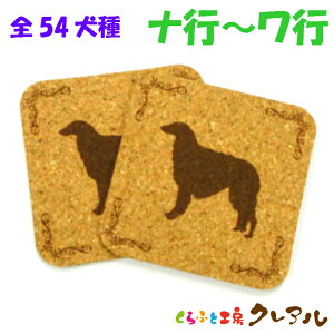 y[֔zRNR[X^[ 2Zbg iis`sj92mmp yRNR[X^[ RN R[X^[  G IWi v[g j Ǐ vg Rbv~z