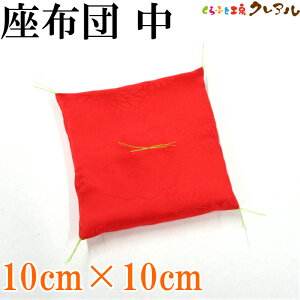 y[֏izdqUug@ԁij10cm×10cm yӂƍH[NA u H  x z