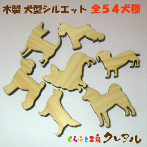 y[֏izؐ @5cmpTCY@S54y ӂƍH[NA@GNXeAH@O\@ hbO XebJ[ EH[  蕨z