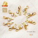 【ゆうパケット送料無料】 チャーム イニシャル アルファベット 一粒ビジュー ミニ 小さい ワンポイント キーホルダー パーツ 金属アレルギー ニッケルフリー 18kコーティング レディース 大人 シンプル ゴールド シルバー