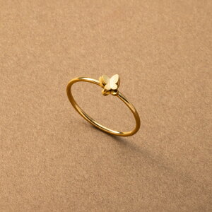 2_30OFFN[|Ώہ XeX O w AM[ ςȂ T[WJXeX fB[X o^tC X   C[h ^ ~j   