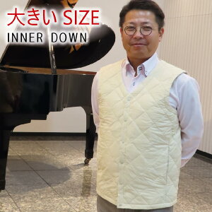 y  z Ci[_E _ExXg 傫TCY Y 傫 Ci[_ExXg _ECi[xXg AEghA gbvX _E H Ci[ AE^[ h h O