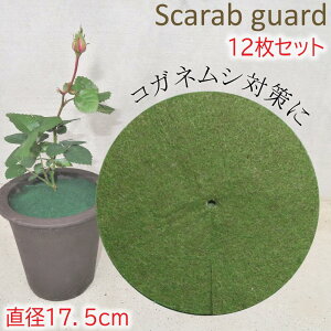 }`O }` h hV[g }`OV[g }`V[g }`O RKlV΍ sDz Jo[ v^[Jo[ ϗtA  ΍ K[fjO ֗ ObY ϗt