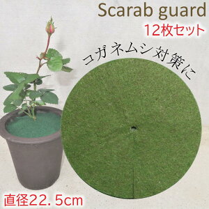 }`O }` h hV[g }`OV[g }`V[g }`O RKlV΍ sDz Jo[ v^[Jo[ ϗtA  ΍ K[fjO ֗ ObY ϗt