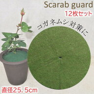 マルチング マルチ 防草 防草シート 鉢マルチングシート マルチシート マルチング材 コガネムシ対策 不織…