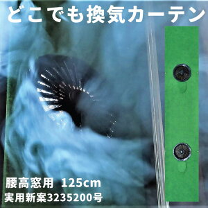y  z pVďo ǂłCJ[e C { @ C J[e Ri΍ ^ V^RiEBX ȒP t EBX΍ TbV DIY C  ItB