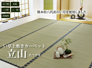 畳 上敷きの人気商品 通販 価格比較 価格 Com