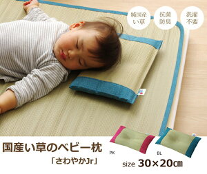 Y   xr[ w₩ x 30×20cm L s[ LbY Y n R L z L ɂ   Q Q ܂ BYgp 炩G 