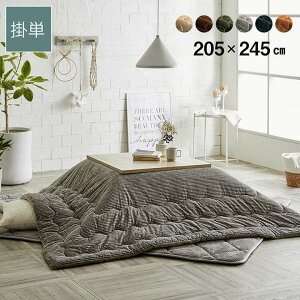 R[fC |zc ` 205×245cm n zc RpNg[ RۖhLȎgp Iׂ6F ʃXgCv tln  IK-G6840019